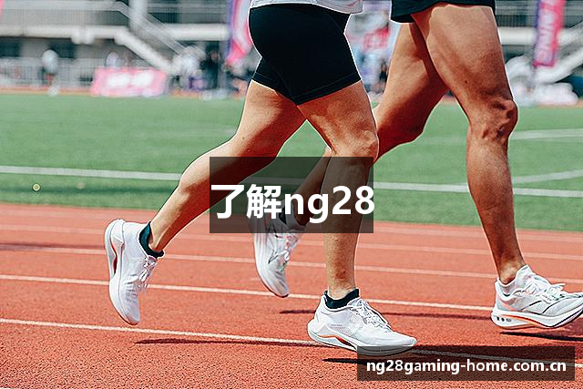 了解ng28